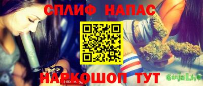 прущие грибы Обь
