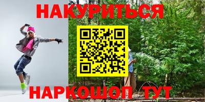 прущие грибы Обь