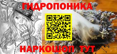 прущие грибы Обь