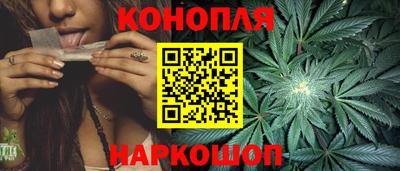 прущие грибы Обь