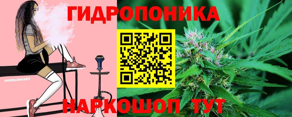 Бошки марихуана гибрид Азнакаево